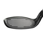 Great Big Bertha Hybrid